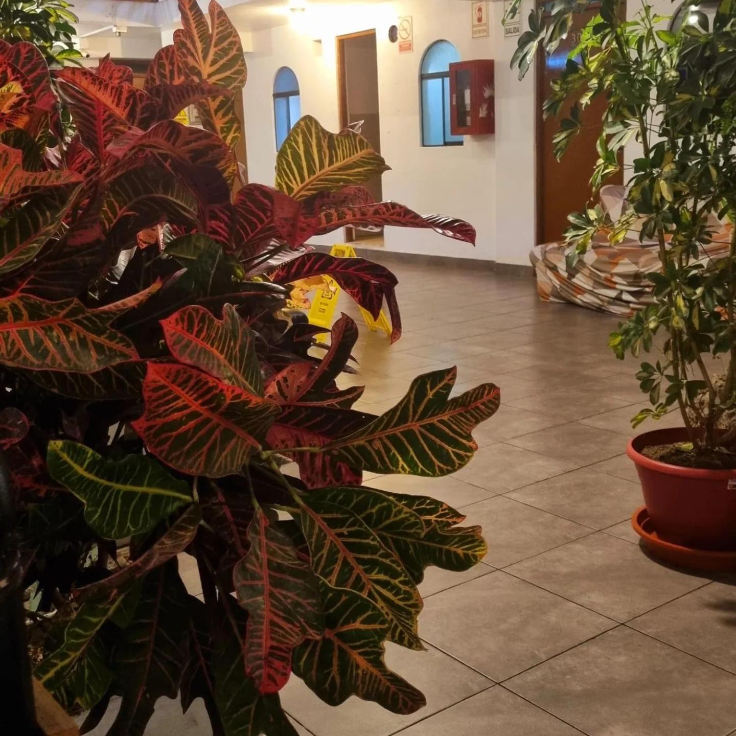 Hostel Thay83 Miraflores Lima Luaran gambar